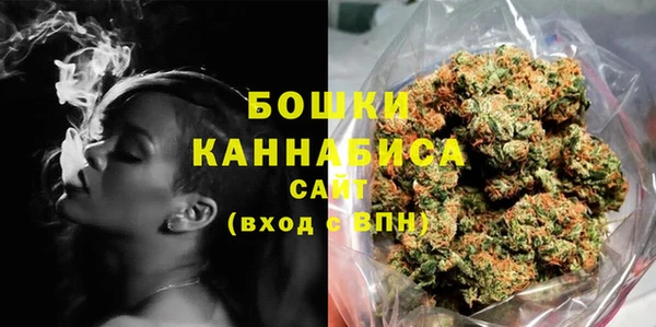 ALPHA-PVP Новозыбков