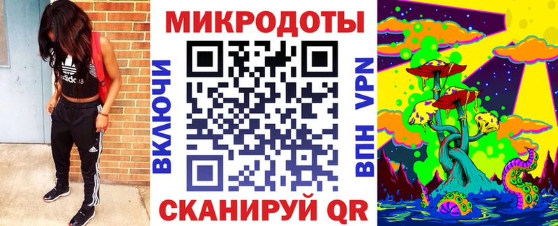 Галлюциногенные грибы Psilocybine cubensis  Волжск 