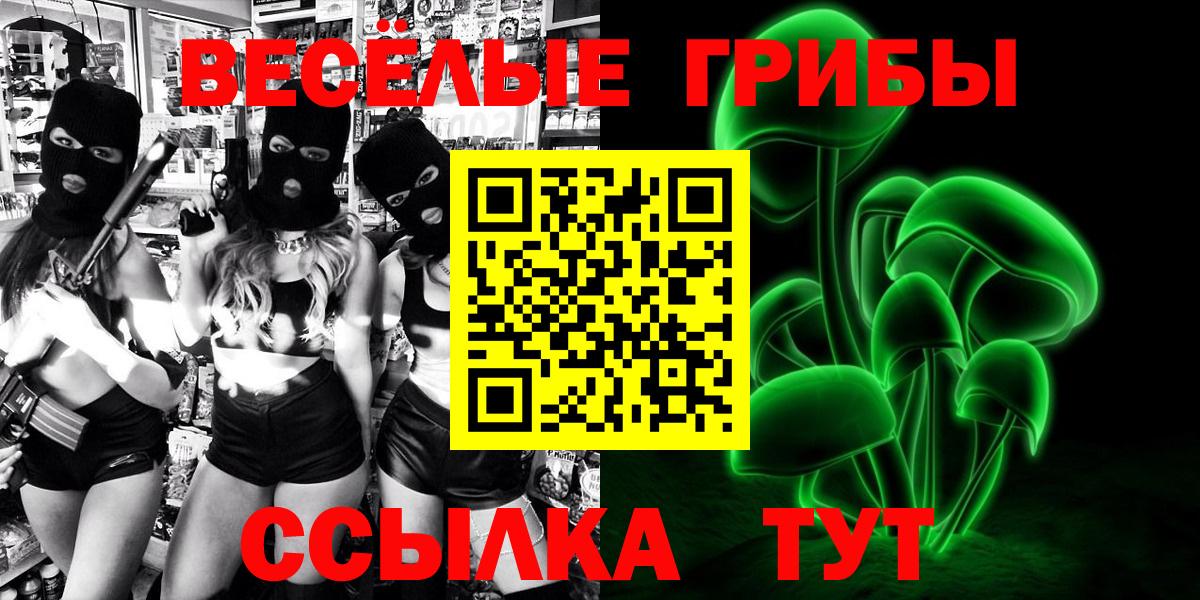 где купить наркоту  Галлюциногенные грибы ЛСД  Вход с VPN  Галлюциногенные грибы Magic Shrooms  Волжск 