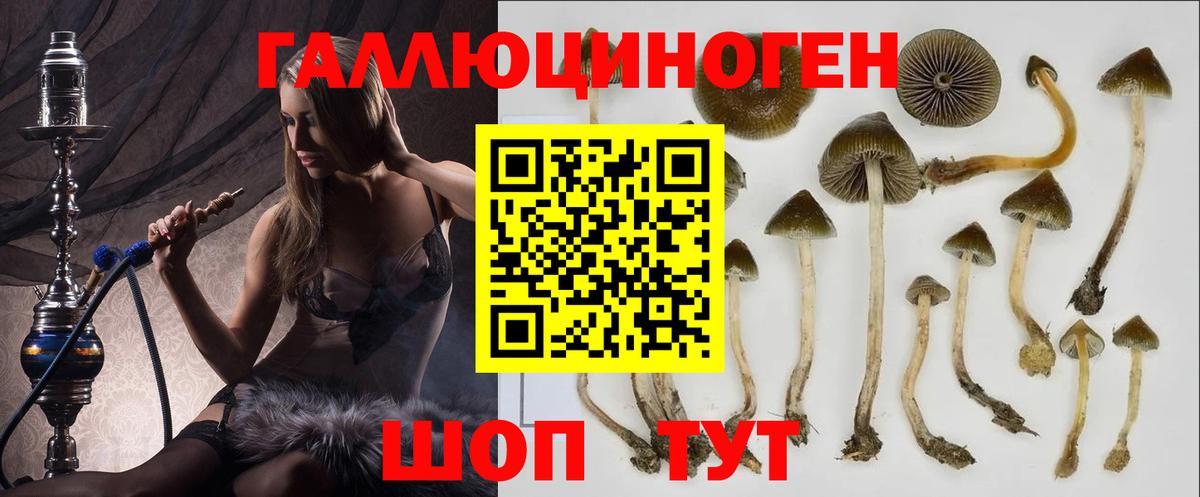 Псилоцибиновые грибы GOLDEN TEACHER  купить наркотик  Волжск 